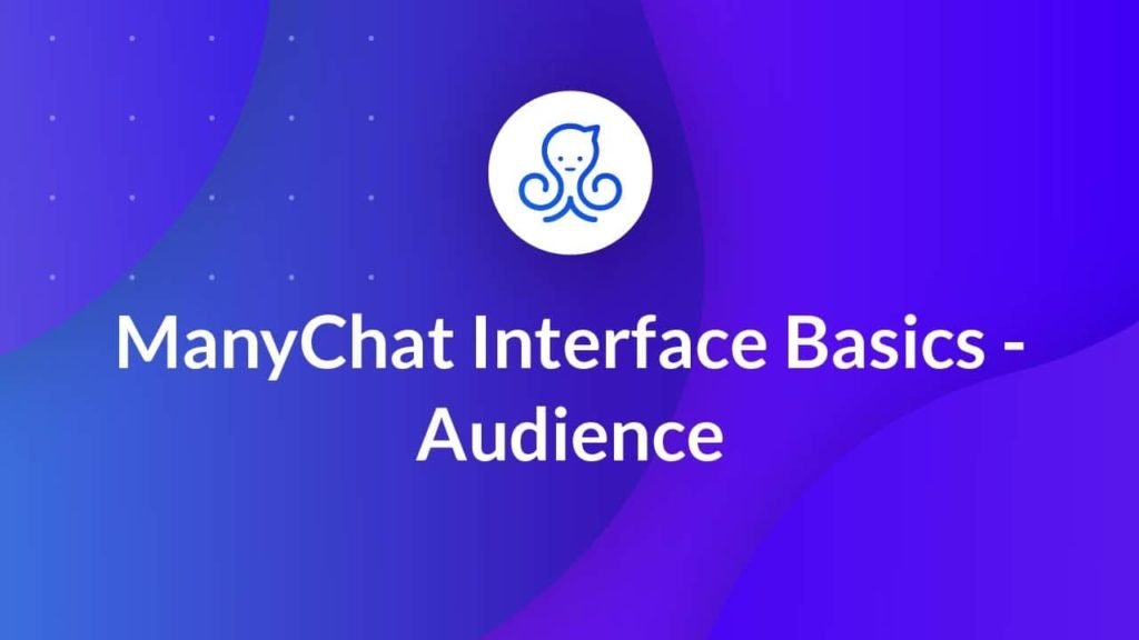 Audience no ManyChat